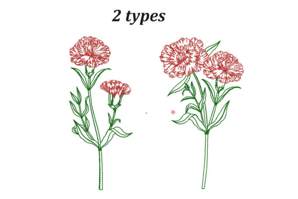 Carnation