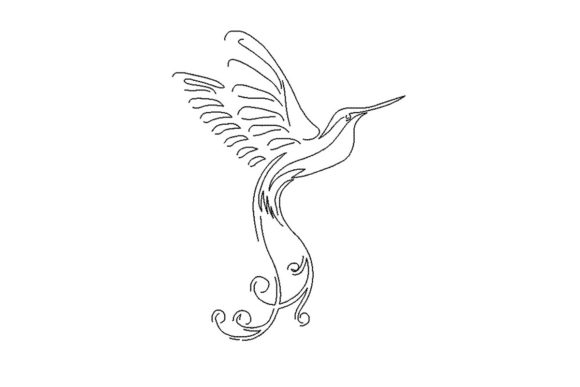 Hummingbird Bird