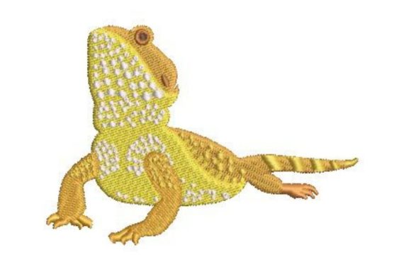 Pet Lizard Bearded Dragon
